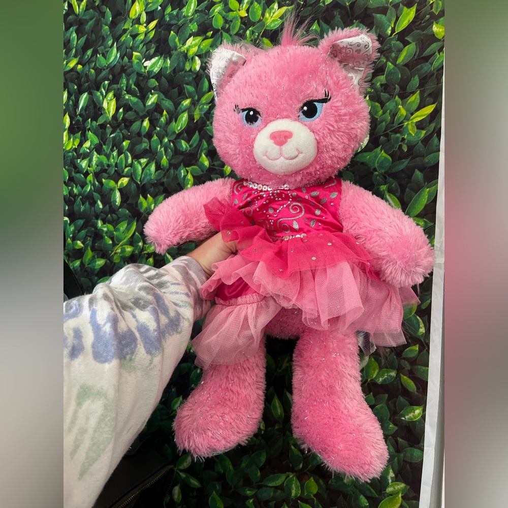 Build a Bear Cat Pageant
